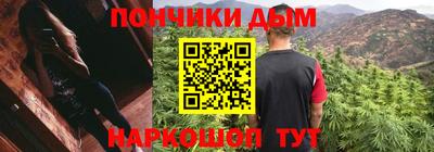 индика Заводоуковск