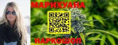 индика Заводоуковск
