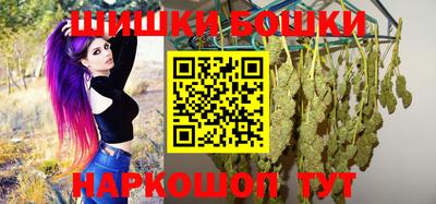 индика Заводоуковск