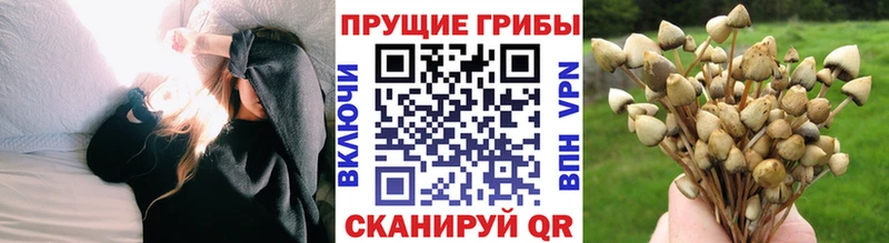 Псилоцибиновые грибы ЛСД Надым