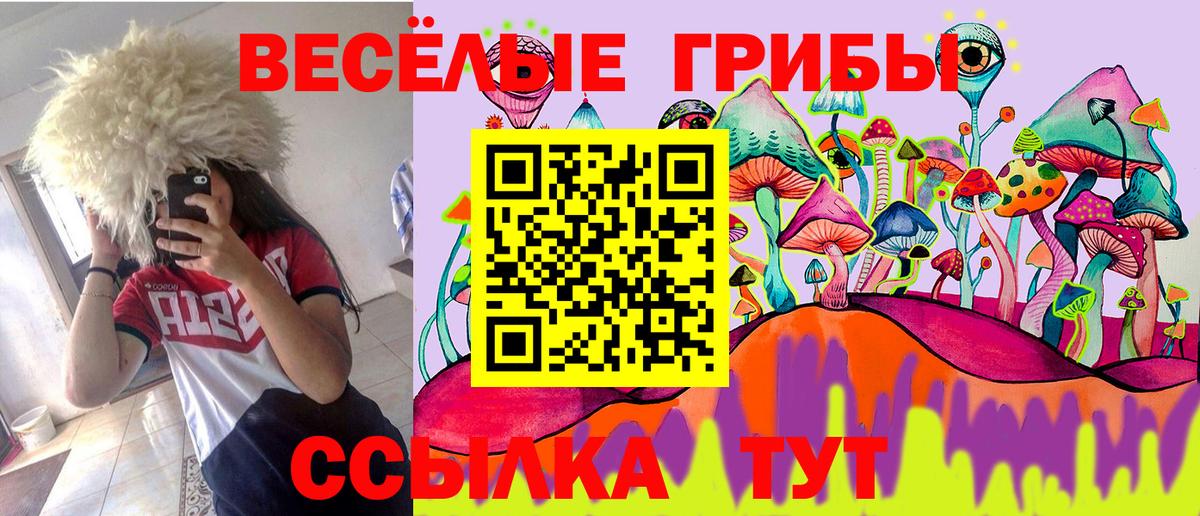 Псилоцибиновые грибы мицелий Надым