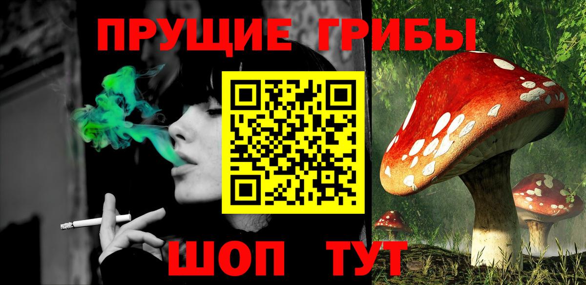 Галлюциногенные грибы Надым