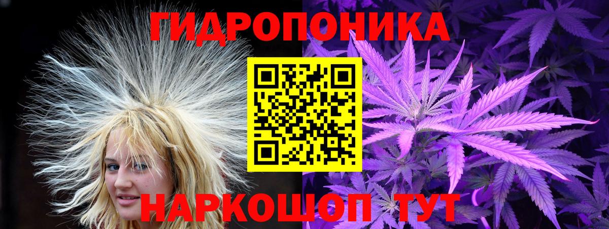Марихуана OG Kush Надым